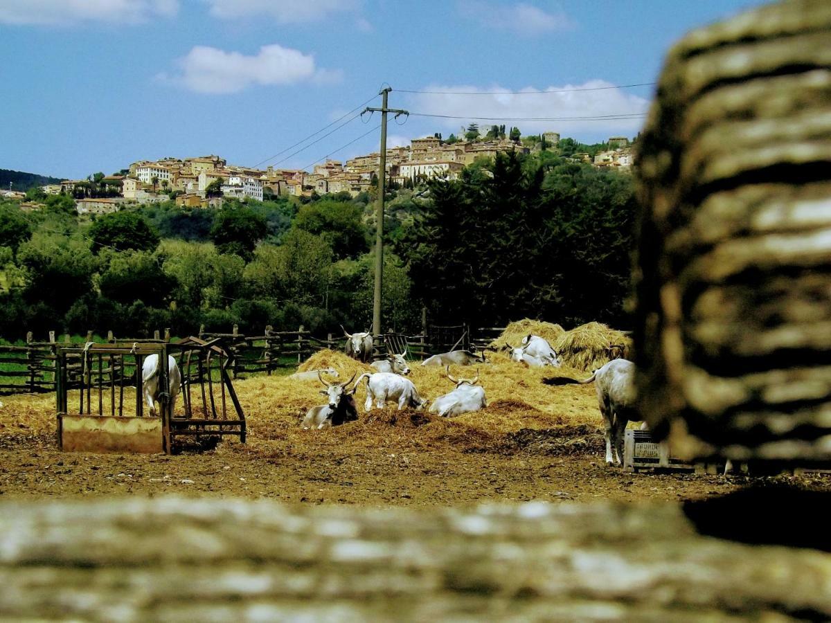 סוברטו Centralissimo Nel Cuore Del Borgo מראה חיצוני תמונה